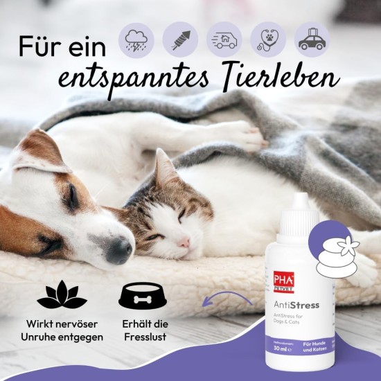 PHA Antistress Drops for Dogs & Cats - Natural Calming for Anxiety, Travel, New Year's Eve, Noise, with Melissa, Hops & Passion Flower, 30 ml PHA Antistress Drops for Dogs & Cats - Natural Calming for Anxiety, Travel, New Year's Eve, Noise, with Melissa, Hops & Passion Flower, 30 ml