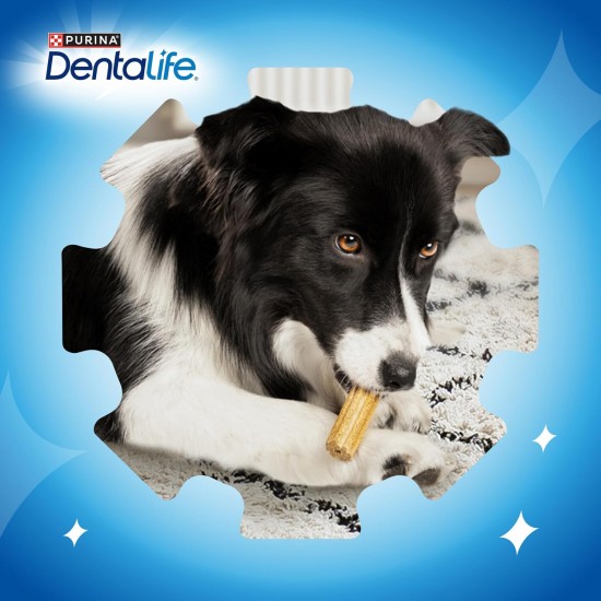 PURINA DENTALIFE Mini Dog Dental Care Snacks Reduce Tartar Formation, Chicken, Small Dogs, 108 Sticks PURINA DENTALIFE Mini Dog Dental Care Snacks Reduce Tartar Formation, Chicken, Small Dogs, 108 Sticks