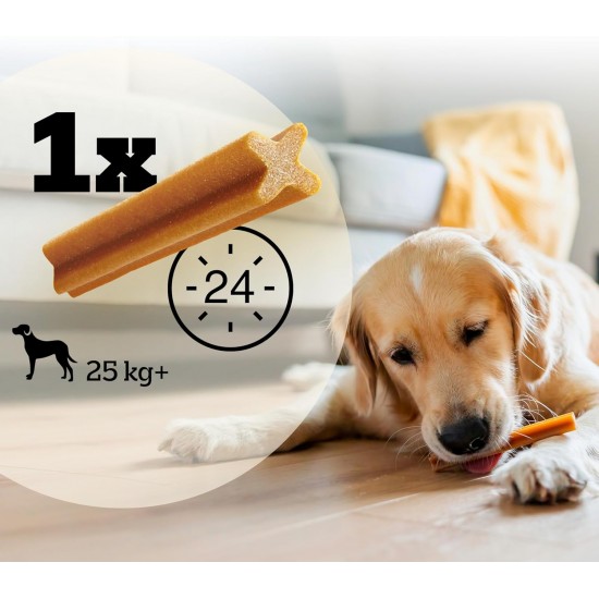 Pedigree DentaStix Daily Oral Care Dental Treat for Medium Dogs - Chicken & Beef Flavoured Dog Treats for Every Day - 1 x 56 Pieces Pedigree DentaStix Daily Oral Care Dental Treat for Medium Dogs - Chicken & Beef Flavoured Dog Treats for Every Day - 1 x 56 Pieces