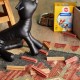 Pedigree DentaStix Daily Oral Care dental care snack for large dogs - dog treats with chicken & beef flavor for every day - 1 x 112 pieces (packaging may vary) Pedigree DentaStix Daily Oral Care dental care snack for large dogs - dog treats with chicken & beef flavor for every day - 1 x 112 pieces (packaging may vary)