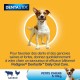 Pedigree Dentastix - Treats Pedigree Dentastix - Treats