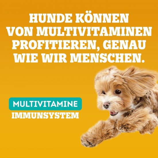 Pedigree Multivitamins Immune System Dog Treats, 30 Soft Dog Treats, 6 x 180 g, Supplements to Support the Immune System, Easy Feeding Pedigree Multivitamins Immune System Dog Treats, 30 Soft Dog Treats, 6 x 180 g, Supplements to Support the Immune System, Easy Feeding