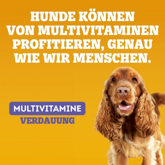 Pedigree Multivitamins Immune System Dog Treats, 30 Soft Dog Treats, 6 x 180 g, Supplements to Support the Immune System, Easy Feeding Pedigree Multivitamins Immune System Dog Treats, 30 Soft Dog Treats, 6 x 180 g, Supplements to Support the Immune System, Easy Feeding