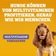 Pedigree Multivitamins Immune System Dog Treats, 30 Soft Dog Treats, 6 x 180 g, Supplements to Support the Immune System, Easy Feeding Pedigree Multivitamins Immune System Dog Treats, 30 Soft Dog Treats, 6 x 180 g, Supplements to Support the Immune System, Easy Feeding
