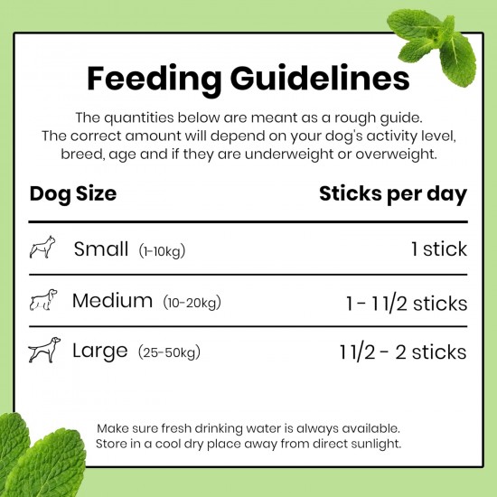 Pooch & Mutt - Superfood Dental Sticks for Dogs, Spirulina & Mint Flavoured Dental Sticks for Dogs, 1 Pack of 7 Sticks Pooch & Mutt - Superfood Dental Sticks for Dogs, Spirulina & Mint Flavoured Dental Sticks for Dogs, 1 Pack of 7 Sticks