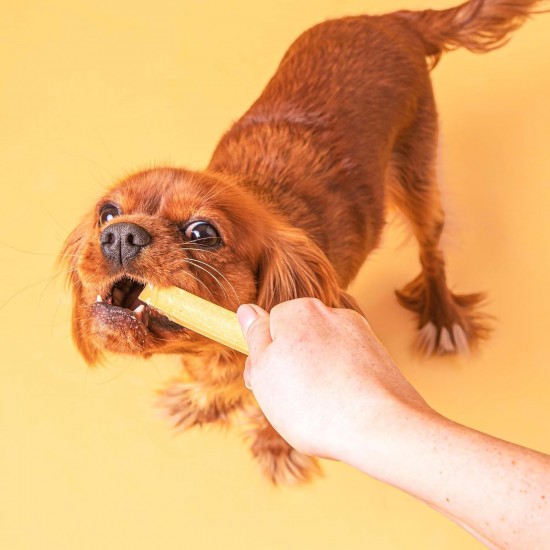 Pooch & Mutt - Training Dental Sticks for Dogs Peanut Butter Flavoured 1 Pack of 7 Sticks Pooch & Mutt - Training Dental Sticks for Dogs Peanut Butter Flavoured 1 Pack of 7 Sticks