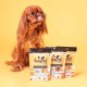 Pooch & Mutt - Training Dental Sticks for Dogs Peanut Butter Flavoured 1 Pack of 7 Sticks Pooch & Mutt - Training Dental Sticks for Dogs Peanut Butter Flavoured 1 Pack of 7 Sticks