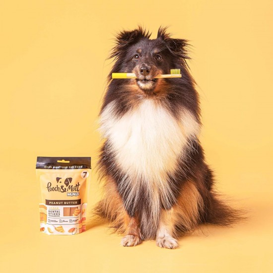 Pooch & Mutt - Training Dental Sticks for Dogs Peanut Butter Flavoured 1 Pack of 7 Sticks Pooch & Mutt - Training Dental Sticks for Dogs Peanut Butter Flavoured 1 Pack of 7 Sticks
