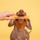 Pooch & Mutt - Training Dental Sticks for Dogs Peanut Butter Flavoured 1 Pack of 7 Sticks Pooch & Mutt - Training Dental Sticks for Dogs Peanut Butter Flavoured 1 Pack of 7 Sticks
