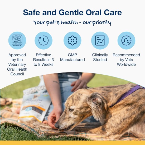 ProDen PlaqueOff 13 Dental Bones for Medium and Large Dogs - Removes Tartar, Improves Overall Oral Health (13, Chicken) ProDen PlaqueOff 13 Dental Bones for Medium and Large Dogs - Removes Tartar, Improves Overall Oral Health (13, Chicken)