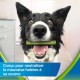 Purina Dentalife ActivFresh Mini Treat for Small Dogs, 7 Chew Sticks, Spirulina and Honey, 1 Piece, 115 g Purina Dentalife ActivFresh Mini Treat for Small Dogs, 7 Chew Sticks, Spirulina and Honey, 1 Piece, 115 g