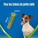 Purina Dentalife ActivFresh Mini Treat for Small Dogs, 7 Chew Sticks, Spirulina and Honey, 1 Piece, 115 g Purina Dentalife ActivFresh Mini Treat for Small Dogs, 7 Chew Sticks, Spirulina and Honey, 1 Piece, 115 g