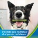 Purina Dentalife Activfresh Small, Bad Breath Treats for Small Dogs, Mini, 6 Bags of 7 Sticks, 6 Pieces (6 x 115 g) Purina Dentalife Activfresh Small, Bad Breath Treats for Small Dogs, Mini, 6 Bags of 7 Sticks, 6 Pieces (6 x 115 g)