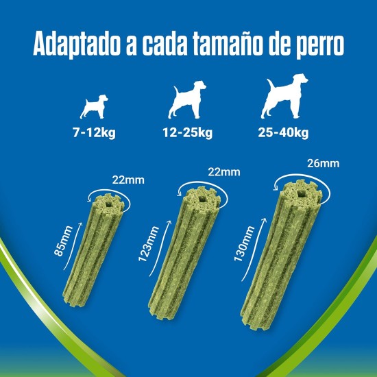 Purina Dentalife Activfresh Small, Bad Breath Treats for Small Dogs, Mini, 6 Bags of 7 Sticks, 6 Pieces (6 x 115 g) Purina Dentalife Activfresh Small, Bad Breath Treats for Small Dogs, Mini, 6 Bags of 7 Sticks, 6 Pieces (6 x 115 g)