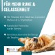 ReaVET Relax Liquid Dogs 110 ml - Soothing Drops with L-Tryptophan, Vitamin B12, Valerian & Melissa I Drops for Relaxed Dog Life I Soothing, Rest, Stress, Nervousness, New Year's Eve & Travel ReaVET Relax Liquid Dogs 110 ml - Soothing Drops with L-Tryptophan, Vitamin B12, Valerian & Melissa I Drops for Relaxed Dog Life I Soothing, Rest, Stress, Nervousness, New Year's Eve & Travel