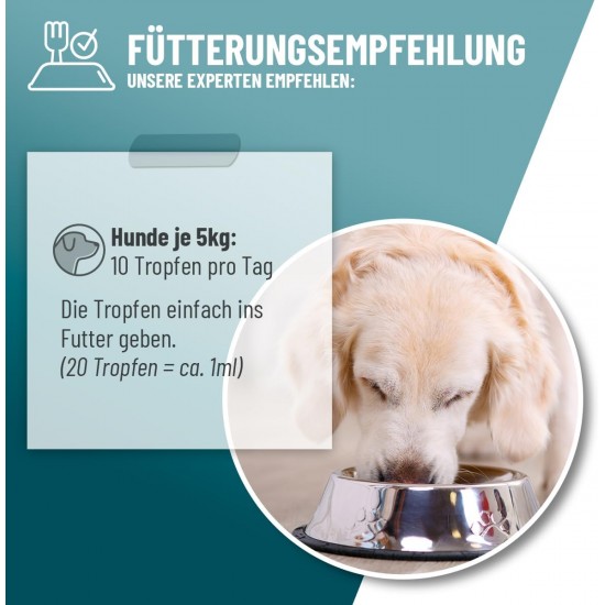 ReaVET Relax Liquid Dogs 110 ml - Soothing Drops with L-Tryptophan, Vitamin B12, Valerian & Melissa I Drops for Relaxed Dog Life I Soothing, Rest, Stress, Nervousness, New Year's Eve & Travel ReaVET Relax Liquid Dogs 110 ml - Soothing Drops with L-Tryptophan, Vitamin B12, Valerian & Melissa I Drops for Relaxed Dog Life I Soothing, Rest, Stress, Nervousness, New Year's Eve & Travel