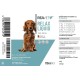Relax Liquid 110 ml - Soothing Agent for Dogs, Cats as Drops with Valerian, for Anxiety, New Year's Eve, Stress, Car Ride & Travel - For Natural Calming and Relaxation Relax Liquid 110 ml - Soothing Agent for Dogs, Cats as Drops with Valerian, for Anxiety, New Year's Eve, Stress, Car Ride & Travel - For Natural Calming and Relaxation