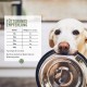 Resting Formula for Dogs - Soothing with Valerian, Melissa & Organic Hemp Seeds I Relaxed & Balanced Dog Life I Rest, Overirritation, Nervousness, New Year's Eve & Travel Resting Formula for Dogs - Soothing with Valerian, Melissa & Organic Hemp Seeds I Relaxed & Balanced Dog Life I Rest, Overirritation, Nervousness, New Year's Eve & Travel