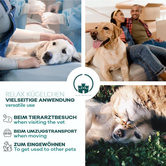 Saint Nutrition Relax Balls for Pets - Natural Food Additive for Stress & Restlessness - Supports Relaxation during Travel, New Year's Eve & Everyday Life - For Small, Medium & Large Dogs - 10 g Saint Nutrition Relax Balls for Pets - Natural Food Additive for Stress & Restlessness - Supports Relaxation during Travel, New Year's Eve & Everyday Life - For Small, Medium & Large Dogs - 10 g