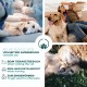 Saint Nutrition Relax Balls for Pets - Natural Food Additive for Stress & Restlessness - Supports Relaxation during Travel, New Year's Eve & Everyday Life - For Small, Medium & Large Dogs - 10 g Saint Nutrition Relax Balls for Pets - Natural Food Additive for Stress & Restlessness - Supports Relaxation during Travel, New Year's Eve & Everyday Life - For Small, Medium & Large Dogs - 10 g