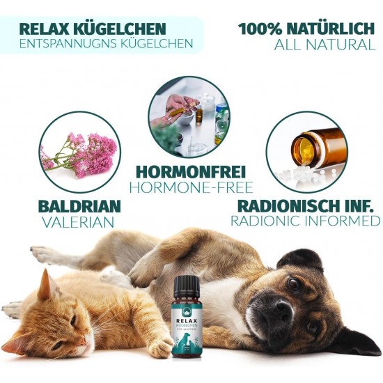 Saint Nutrition Relax Balls for Pets - Natural Food Additive for Stress & Restlessness - Supports Relaxation during Travel, New Year's Eve & Everyday Life - For Small, Medium & Large Dogs - 10 g Saint Nutrition Relax Balls for Pets - Natural Food Additive for Stress & Restlessness - Supports Relaxation during Travel, New Year's Eve & Everyday Life - For Small, Medium & Large Dogs - 10 g