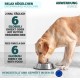 Saint Nutrition Relax Balls for Pets - Natural Food Additive for Stress & Restlessness - Supports Relaxation during Travel, New Year's Eve & Everyday Life - For Small, Medium & Large Dogs - 10 g Saint Nutrition Relax Balls for Pets - Natural Food Additive for Stress & Restlessness - Supports Relaxation during Travel, New Year's Eve & Everyday Life - For Small, Medium & Large Dogs - 10 g