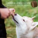 Schnüffelfreunde Inner Peace I Dietary Supplement for Dogs for Soothing, Anti-Stress and for More Serenity (150 g - Approx. 180 Pieces) Schnüffelfreunde Inner Peace I Dietary Supplement for Dogs for Soothing, Anti-Stress and for More Serenity (150 g - Approx. 180 Pieces)