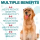 Smddx Relaxation & Anti-Stress for Dogs, Calming Treats for Calm, Promote Relaxation, Relieve Dogs from Anxiety, Stress, Delicious and Healthy Snack Bacon Seasoned, Pack of 110 Smddx Relaxation & Anti-Stress for Dogs, Calming Treats for Calm, Promote Relaxation, Relieve Dogs from Anxiety, Stress, Delicious and Healthy Snack Bacon Seasoned, Pack of 110