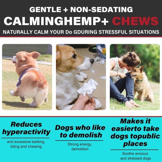 Smddx Relaxation & Anti-Stress for Dogs, Calming Treats for Calm, Promote Relaxation, Relieve Dogs from Anxiety, Stress, Delicious and Healthy Snack Bacon Seasoned, Pack of 110 Smddx Relaxation & Anti-Stress for Dogs, Calming Treats for Calm, Promote Relaxation, Relieve Dogs from Anxiety, Stress, Delicious and Healthy Snack Bacon Seasoned, Pack of 110