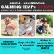 Smddx Relaxation & Anti-Stress for Dogs, Calming Treats for Calm, Promote Relaxation, Relieve Dogs from Anxiety, Stress, Delicious and Healthy Snack Bacon Seasoned, Pack of 110 Smddx Relaxation & Anti-Stress for Dogs, Calming Treats for Calm, Promote Relaxation, Relieve Dogs from Anxiety, Stress, Delicious and Healthy Snack Bacon Seasoned, Pack of 110