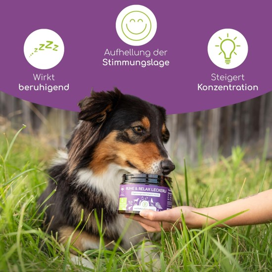 Soothing snack for dogs, peace and relax treats, against stress and anxiety, with valerian for tension and St. John's wort for inner peace Soothing snack for dogs, peace and relax treats, against stress and anxiety, with valerian for tension and St. John's wort for inner peace