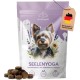 Soul Yoga Soothing Snacks for Dogs with Valerian & St. John's Wort I Vegetable Soothing Agent for Anxiety, Stress & New Year's Eve Soul Yoga Soothing Snacks for Dogs with Valerian & St. John's Wort I Vegetable Soothing Agent for Anxiety, Stress & New Year's Eve