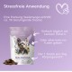 Soul Yoga Soothing Snacks for Dogs with Valerian & St. John's Wort I Vegetable Soothing Agent for Anxiety, Stress & New Year's Eve Soul Yoga Soothing Snacks for Dogs with Valerian & St. John's Wort I Vegetable Soothing Agent for Anxiety, Stress & New Year's Eve