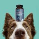Suprapet Omega 3 for Dogs and Cats Fish Oil, EPA, DHA and Vitamin E 80 Capsules. Natural Supplementary Feed for Fur and Joints Suprapet Omega 3 for Dogs and Cats Fish Oil, EPA, DHA and Vitamin E 80 Capsules. Natural Supplementary Feed for Fur and Joints