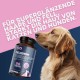 Suprapet Peloderm for Dogs and Cats, 90 Tablets Based on Biotin, Zinc, Vitamin B, Methionine and Cystine for Wellbeing and Shine of the Hair, Supplementary Feed Suprapet Peloderm for Dogs and Cats, 90 Tablets Based on Biotin, Zinc, Vitamin B, Methionine and Cystine for Wellbeing and Shine of the Hair, Supplementary Feed