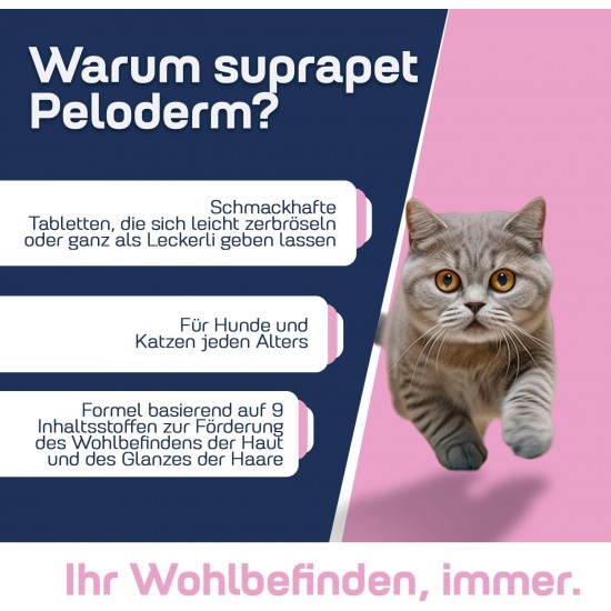 Suprapet Peloderm for Dogs and Cats, 90 Tablets Based on Biotin, Zinc, Vitamin B, Methionine and Cystine for Wellbeing and Shine of the Hair, Supplementary Feed Suprapet Peloderm for Dogs and Cats, 90 Tablets Based on Biotin, Zinc, Vitamin B, Methionine and Cystine for Wellbeing and Shine of the Hair, Supplementary Feed