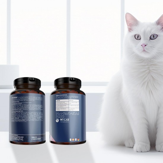 Suprapet Peloderm for Dogs and Cats, 90 Tablets Based on Biotin, Zinc, Vitamin B, Methionine and Cystine for Wellbeing and Shine of the Hair, Supplementary Feed Suprapet Peloderm for Dogs and Cats, 90 Tablets Based on Biotin, Zinc, Vitamin B, Methionine and Cystine for Wellbeing and Shine of the Hair, Supplementary Feed