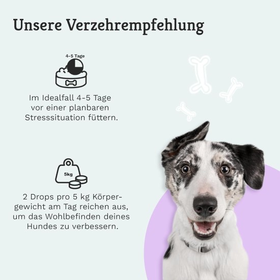 TIERLIEBHABER Calming Agent for Dogs to Soothe Anxiety & Stress - 100% Natural Chillout Drops - Anti-Stress Treats with Valerian Root & St. John's Wort for Soothing Relaxation TIERLIEBHABER Calming Agent for Dogs to Soothe Anxiety & Stress - 100% Natural Chillout Drops - Anti-Stress Treats with Valerian Root & St. John's Wort for Soothing Relaxation
