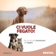Trebifarma Epatol - 3BF - Supplementary Food in Dropper Bottle for Dogs/Cats - Support Liver Function - 50g