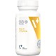 Vet Expert Multivitamin Supplementary Food for Dogs and Cats 30 Capsules Vet Expert Multivitamin Supplementary Food for Dogs and Cats 30 Capsules