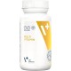 Vet Expert Multivitamin Supplementary Food for Dogs and Cats 30 Capsules Vet Expert Multivitamin Supplementary Food for Dogs and Cats 30 Capsules