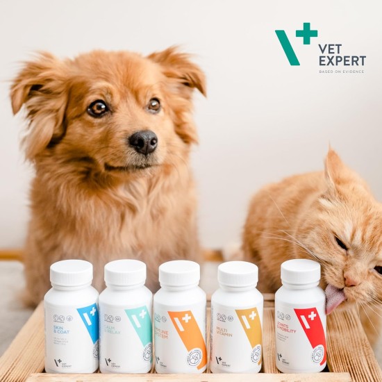Vet Expert Multivitamin Supplementary Food for Dogs and Cats 30 Capsules Vet Expert Multivitamin Supplementary Food for Dogs and Cats 30 Capsules