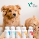 Vet Expert Multivitamin Supplementary Food for Dogs and Cats 30 Capsules Vet Expert Multivitamin Supplementary Food for Dogs and Cats 30 Capsules