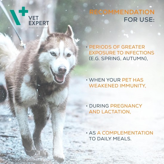 Vet Expert To support immunity in dogs and cats. The preparation can be used on dogs exposed to stress, pack of 1 (1 x 30 g) Vet Expert To support immunity in dogs and cats. The preparation can be used on dogs exposed to stress, pack of 1 (1 x 30 g)