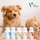 Vet Expert To support immunity in dogs and cats. The preparation can be used on dogs exposed to stress, pack of 1 (1 x 30 g) Vet Expert To support immunity in dogs and cats. The preparation can be used on dogs exposed to stress, pack of 1 (1 x 30 g)