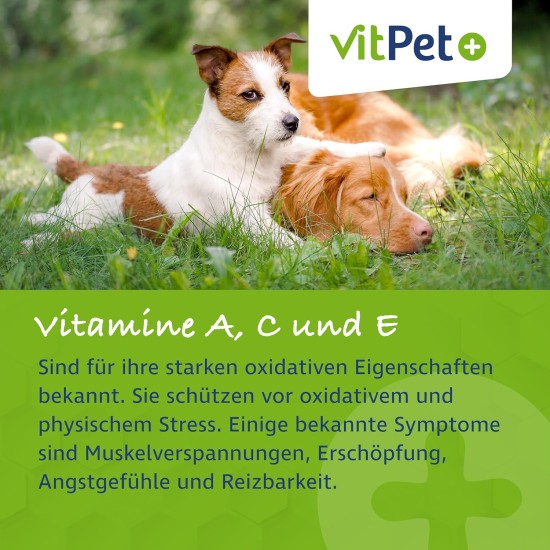 VitPet+ RelaxVit - Calming Agent for Dogs - With Magnesium, Tryptophan and Vitamin B Complex for Dogs - Supports Relaxation, Muscles and Nervous System - Against Stress and Anxiety (400 g) VitPet+ RelaxVit - Calming Agent for Dogs - With Magnesium, Tryptophan and Vitamin B Complex for Dogs - Supports Relaxation, Muscles and Nervous System - Against Stress and Anxiety (400 g)
