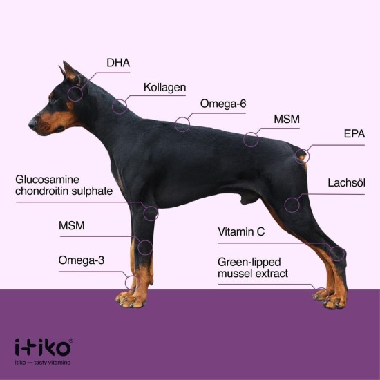 Vitamins for Dogs, Delicious Dog Soothing Food Supplement, Calming Agent for Dogs, Improvement of the Nervous System, Bark-Inhibiting, L-Tryptophan Vitamins for Dogs, Delicious Dog Soothing Food Supplement, Calming Agent for Dogs, Improvement of the Nervous System, Bark-Inhibiting, L-Tryptophan