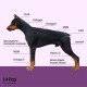 Vitamins for Dogs, Delicious Dog Soothing Food Supplement, Calming Agent for Dogs, Improvement of the Nervous System, Bark-Inhibiting, L-Tryptophan Vitamins for Dogs, Delicious Dog Soothing Food Supplement, Calming Agent for Dogs, Improvement of the Nervous System, Bark-Inhibiting, L-Tryptophan