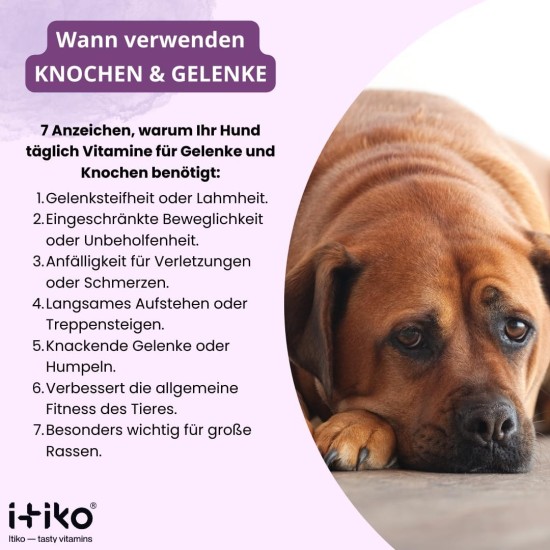 Vitamins for Dogs, Delicious Dog Soothing Food Supplement, Calming Agent for Dogs, Improvement of the Nervous System, Bark-Inhibiting, L-Tryptophan Vitamins for Dogs, Delicious Dog Soothing Food Supplement, Calming Agent for Dogs, Improvement of the Nervous System, Bark-Inhibiting, L-Tryptophan