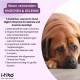 Vitamins for Dogs, Delicious Dog Soothing Food Supplement, Calming Agent for Dogs, Improvement of the Nervous System, Bark-Inhibiting, L-Tryptophan Vitamins for Dogs, Delicious Dog Soothing Food Supplement, Calming Agent for Dogs, Improvement of the Nervous System, Bark-Inhibiting, L-Tryptophan